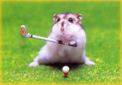 Golfový křečík